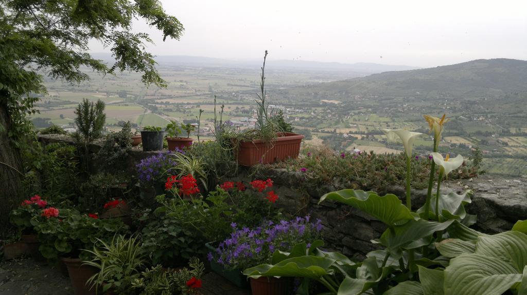 Apartament Casa Mia A Cortona Pokój zdjęcie